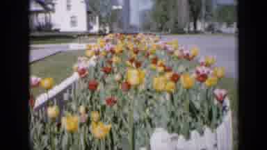 Iowa USA (1959): Garden View With Many Colorful Flowers In Front Of The Tourist