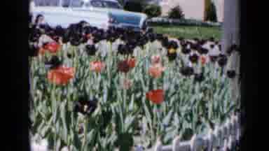 Iowa USA (1959): A Girl Posing Near Flowers