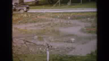 Iowa USA (1959): Camera Captures The Trees Grasses And Walkways At The Silver Bus