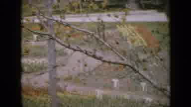 Iowa USA (1959): View Of Area With Flowers And Impeccable Garden Bringing A