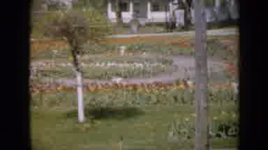 Iowa USA (1959): Outside Garden Flowers Tree House Sunny Summer Paths Nature Space