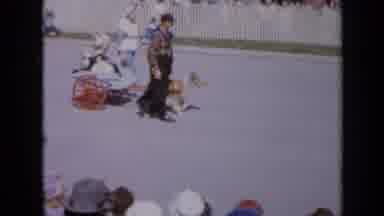 Iowa USA (1959): Collie Dog Pulling A Child In A Wagon With Red Wheels In A Parade