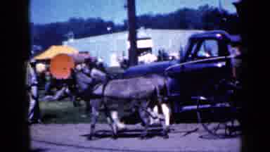Iowa USA (1959): Two Mules Pull A Cart As The Band Nearby Plays At The Fair