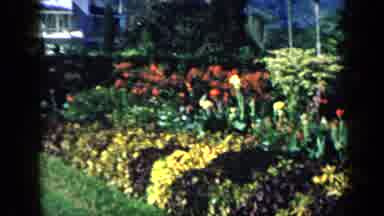 Venezuela (1959): House With Flower Garden On A Hill Overlooking Ocean View