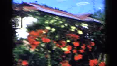 Venezuela (1959): House With Flowers Of Various Colors In A Very Well-Kept Garden