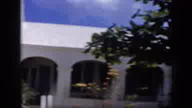 Venezuela (1959): View Of Orange Trees And White Building On A Bright Sunny Day