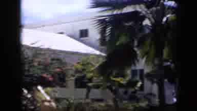 Venezuela (1959): Couple Enjoying Beautiful Garden With Flowering Trees On Sunny
