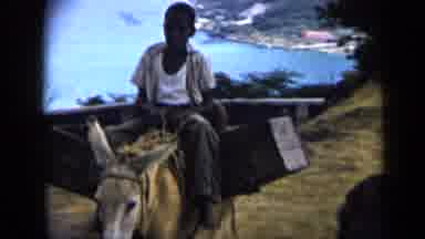 Venezuela (1959): Kids Riding Donkey With Cargo On Either Side