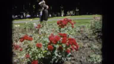 Missouri USA (1961): Different Types Of Flower Growing In The Garden And Different