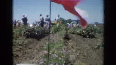 Missouri USA (1961): People Moving Around In A Park Or Garden With Purple Flowers