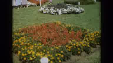 Missouri USA (1961): Red And Yellow Flowers Blooming On A Bright Sunny Day
