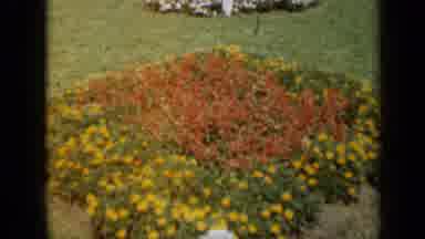Missouri USA (1961): Camera Captures The Yellow And Red Flowers As Others Walk By