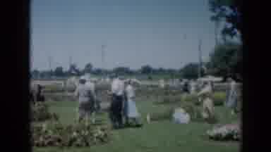 Missouri USA (1961): Garden Party With The Whole Neighborhood Next To A Street