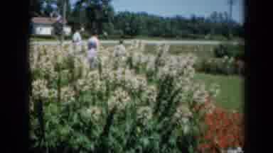 Missouri USA (1961): Family Of Three Tours Formal Gardens Of White And Yellow