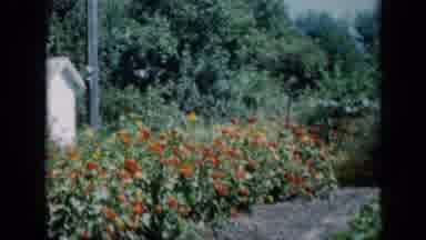 Missouri USA (1961): Two Young Girls Walking Through A Garden During A Spring Day
