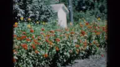 Missouri USA (1961): View Of External Area Of ââResidence With Beautiful Garden