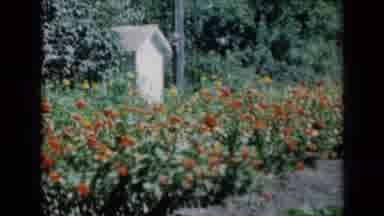 Missouri USA (1961): Beautiful Orange Flowers Line A Path While Men And Women