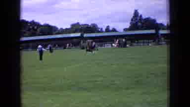 England (1963): Training Men Pass On Their Knowledge To Animals In Specific Areas