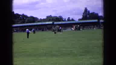 England-1963: Obedient Dog Responds To Master's Call On Grass Field