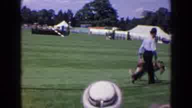 England (1963): Man With His German Shepherd Dog Walking The Fairgrounds While