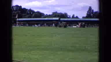 England (1963): Distant View Of A Dog Running Around Its Owner On A Large Grassy