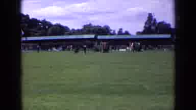England (1963): Person In The Distance Plays With A Dog In The Field As Others