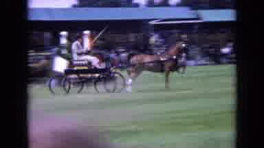 England (1963): Carriage Race In A Place Prepared For Equestrian Events With A