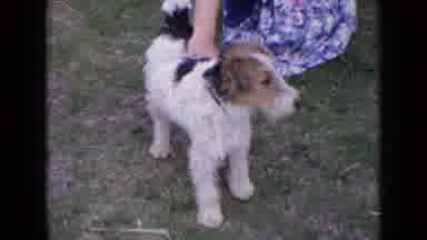 England (1963): Two Women Visit The Countryside And A Third Woman Pets A Small