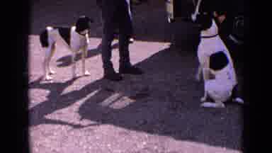 France (1963): Two Dogs And Person Showing Tricks That The Dog Can Do
