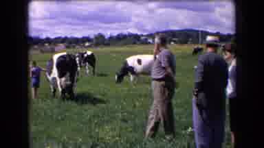 France (1963): Farm Machinery Works A Field Then Men And Boy Examine Livestock