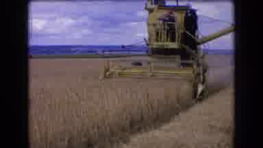 France (1963): Man Wearing Black Suit Rides On Green Combine Harvester On A Clear