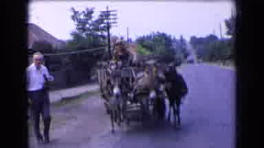 France (1963): A Man Riding A Cart Being Pulled By Three Donkeys Down A Village