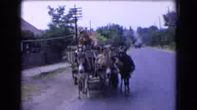France (1963): Oxen Pulling Wagon With People