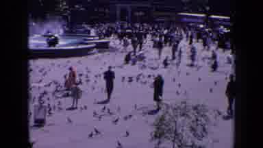 London England (1963): The Birds Are Enjoying The Day With The Humans