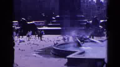 London England (1963): People And Birds Flock Together In Northern European Town