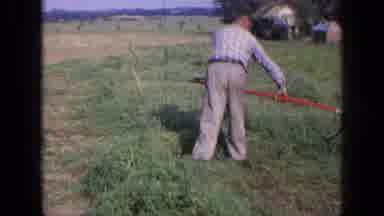 Russia (1963): Older Man Is Using A Sickle To Cut Down Hay On His Farm While A