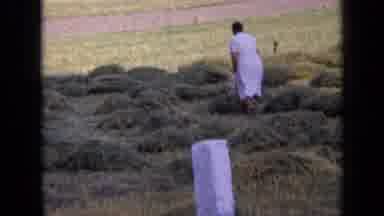 RUSSIA-1963: Farmers Wife Gathering Fresh Cut Hay In The Field