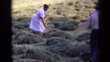 Russia (1963): Woman In Lavender Dress Flipping Haystacks With A Scythe As Two Men