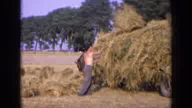 Russia (1963): Two Workers And Farmers Gathering Hay On Top Of A Wagon