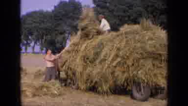 Russia (1963): A Guy Half Naked Is Lifting The Wheat From The Floor To The Truck