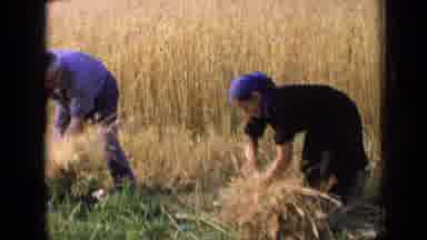 Russia (1963): Couple Works In Rural Area To Bring The Best Results For Everyone
