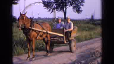 Russia (1963): Two Men Sit In Buggy Hitched To Standing Brown Horse On A Bright