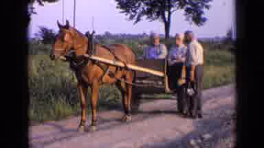Russia (1963): Three Old Men Two Of Them Sitting In A Horse Cart And One Old Men