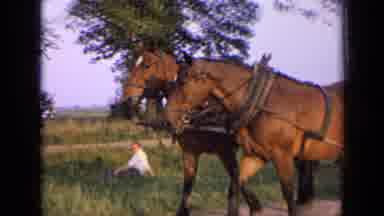 Russia (1963): Two Horses Harnessed To A Wagon Carting People Down The Road