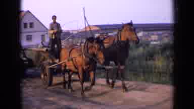 Russia (1963): Two Beautiful Bay Horses Pull A Wooden Wagon In The Countryside