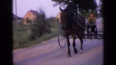 Russia (1963): Adult Male Rides Bicycle Down Dirt Road Boy On Horse Drawn Cart
