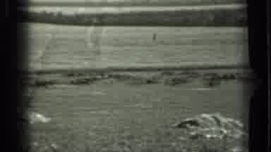 Russia (1963): Farmer Wearing A Hat Gazing On Cattle In Field