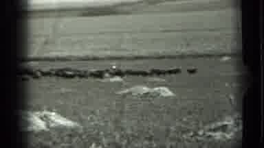 Russia (1963): Open Field With Man Walking