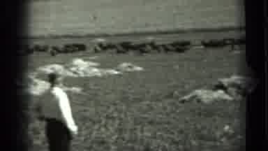 Russia (1963): Old Footage Of Man In A Field