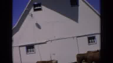 Kansas USA (1964): Animals Are Roaming Free In A Farm Looking House